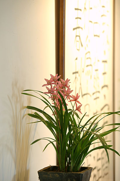 “春天来了”展览现场。